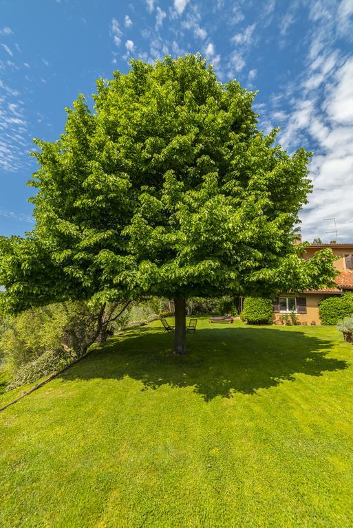 B&B Acque Lucenti Sacrofano Zewnętrze zdjęcie