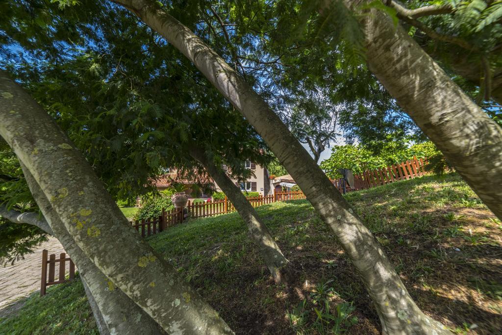B&B Acque Lucenti Sacrofano Zewnętrze zdjęcie